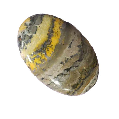 Bumblebee Jasper Collection