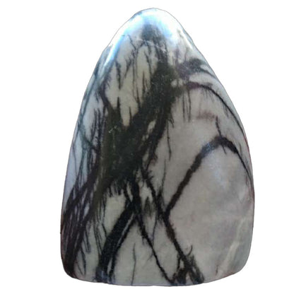 Pinolith Jasper Free Form